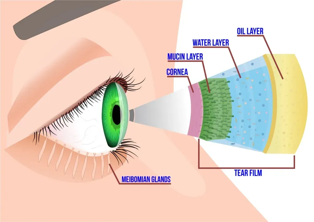 general-eye-examination-jpg